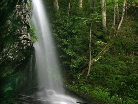 Denton Branch Falls