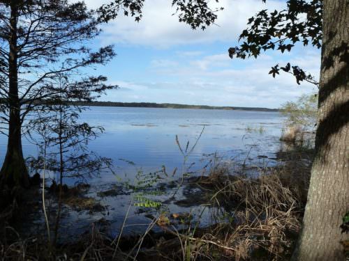 Lake Seminole Georgia