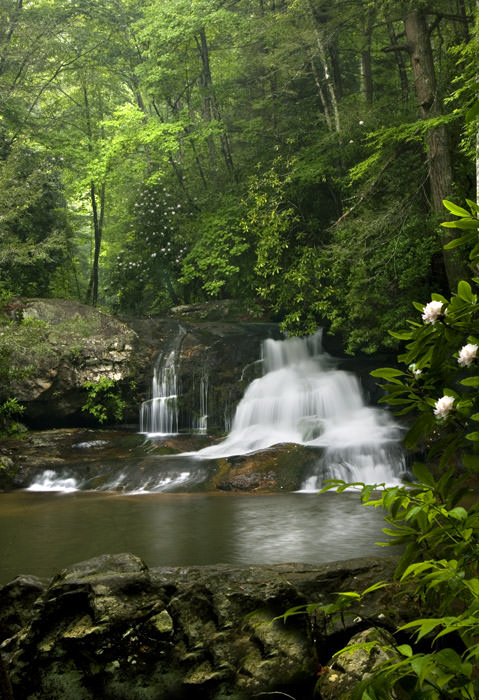north georgia hiking