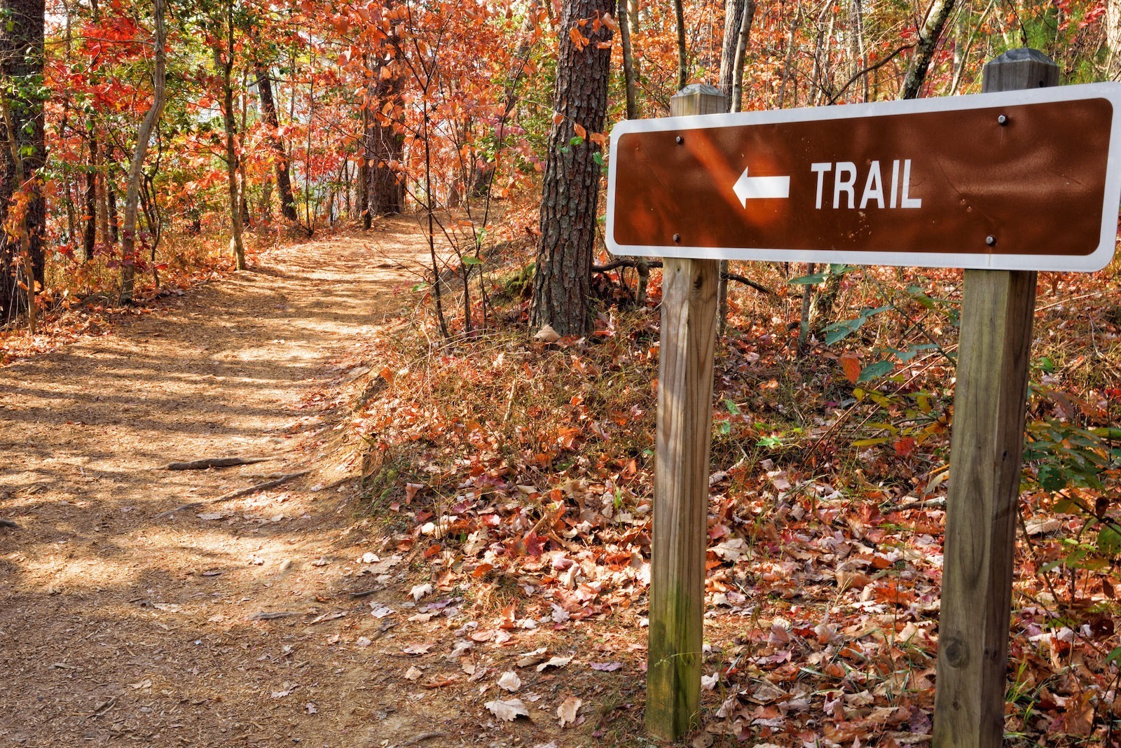5 Weekend Trips Less Than 2 Hours From Atlanta