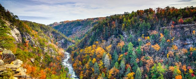 5 Family-Friendly Things to Do in Tallulah Falls, GA