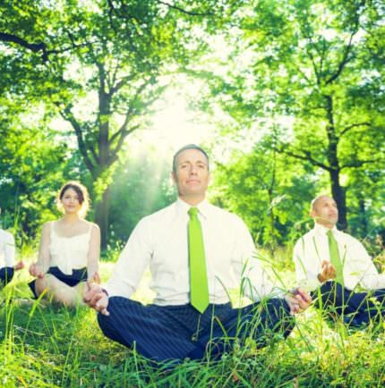 people sitting on grass meditating