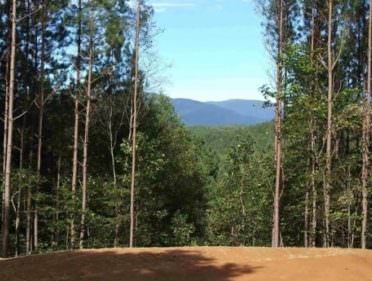 view of distant mountains and trees from the forest lodge pavilion