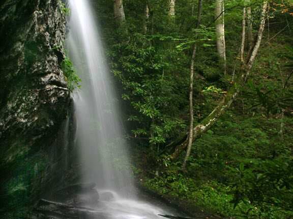 Denton Branch Falls