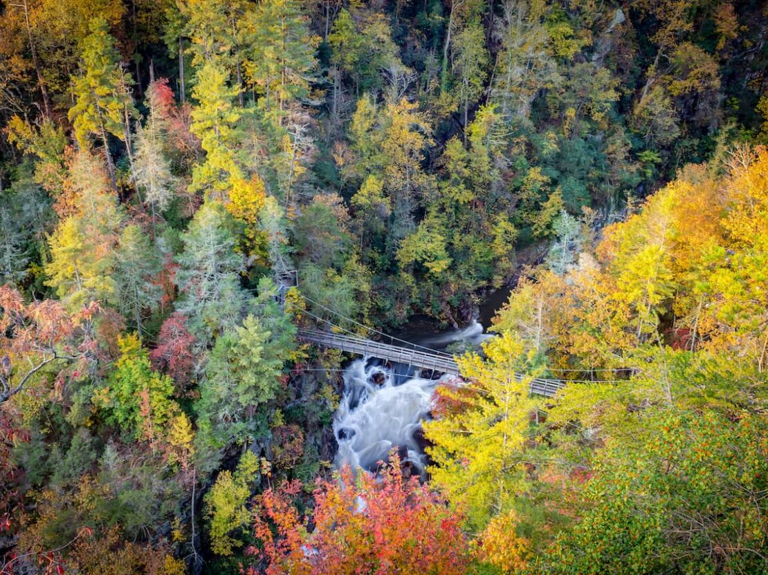 fall in north georgia