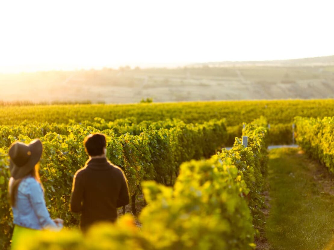 North Georgia wineries